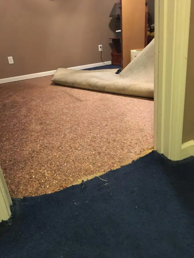 Carpet pad removal revealing water damage during Drying & Dehumidification in Rice Lake