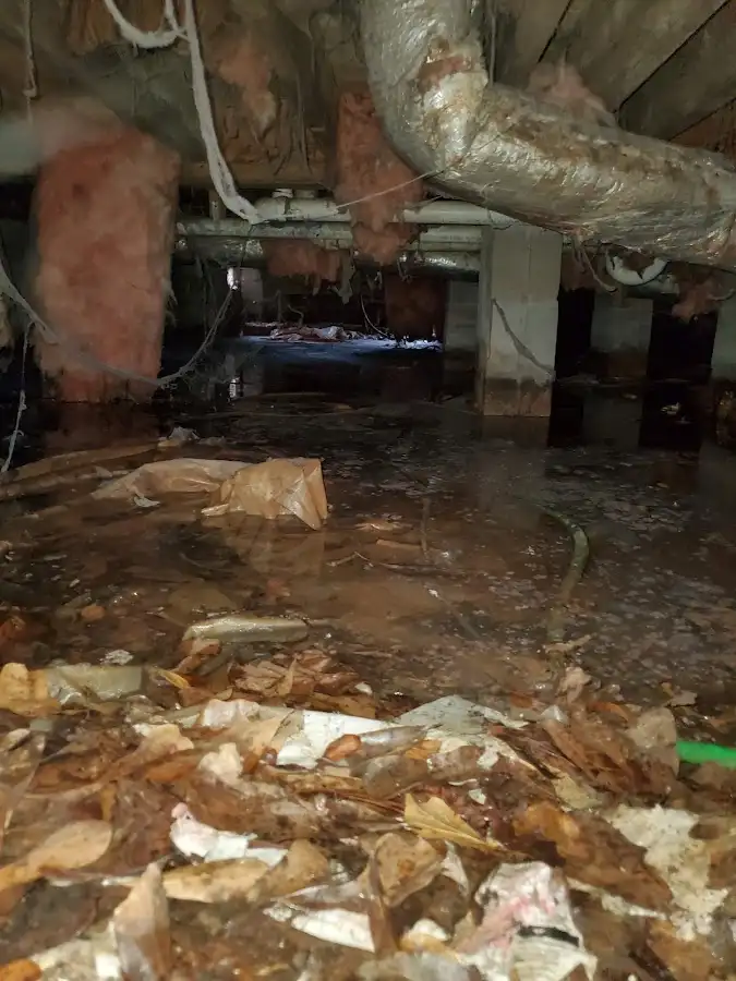 Crawl space flood assessment for Leak Detection & Repair in Rice Lake