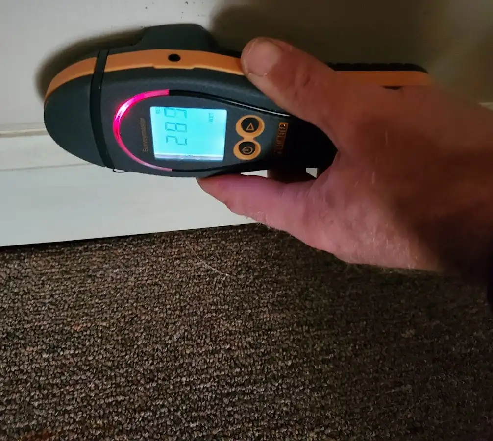 Moisture detection at baseboard during Sewage Cleanup & Sanitation in Rice Lake